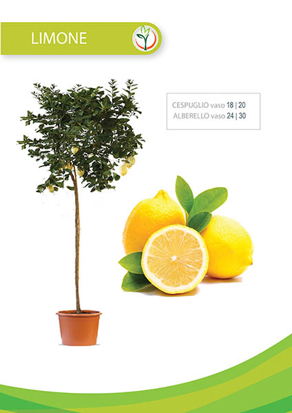 limone